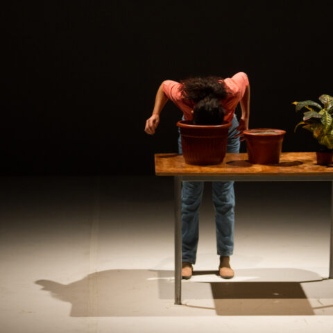 Theater Chur: Estado Vegetal – Pflanzesein