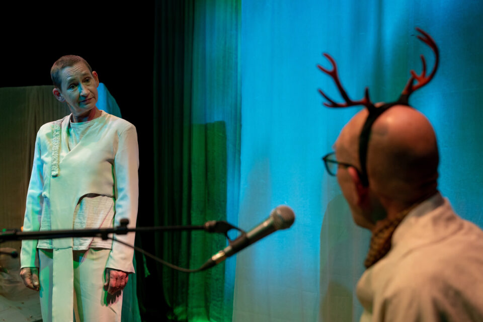 DER BESUCH DER ALTEN DAME